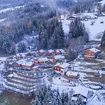 In Wildkogel Near Slopes Domek alpejski *