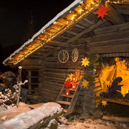 In Wildkogel Near Slopes Шале Нойкирхен-ам-Гросфенедигер