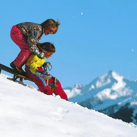 Chalet In Wildkogel Near Slopes Neukirchen am Großvenediger