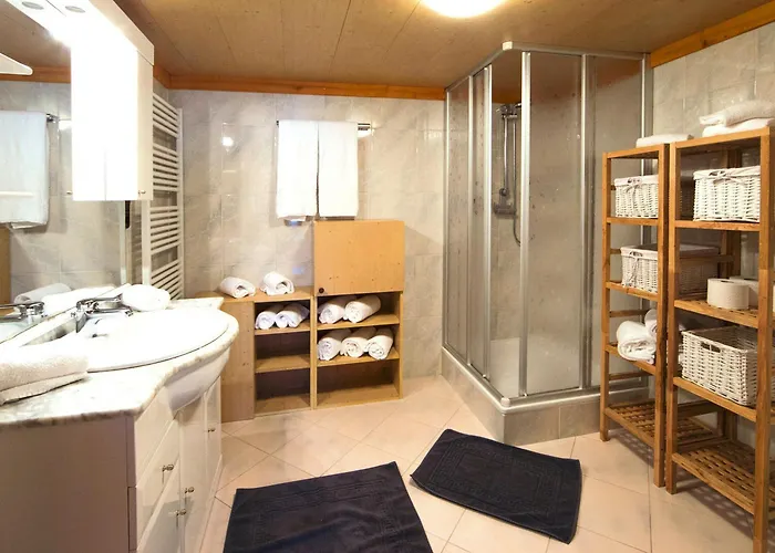 In Wildkogel Near Slopes Horská chata *